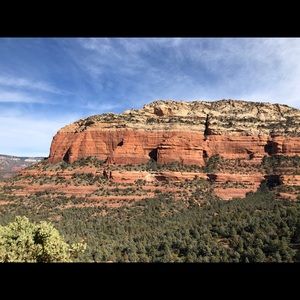 Meet your Posher, Tara